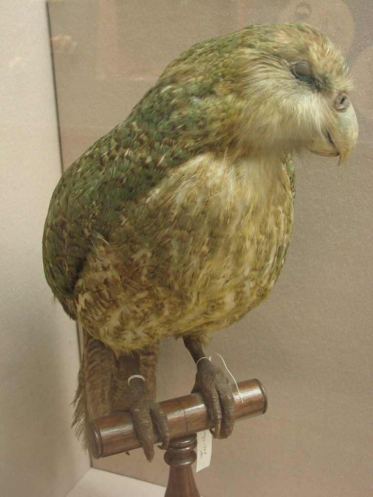 Allie_Caulfield, CC BY 2.0 via Wikimedia Commons