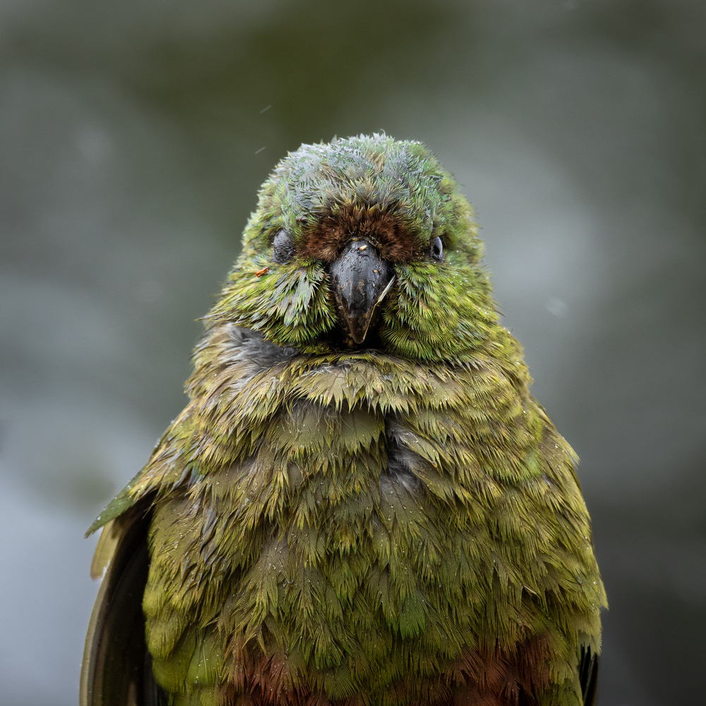 Depositphotos.com