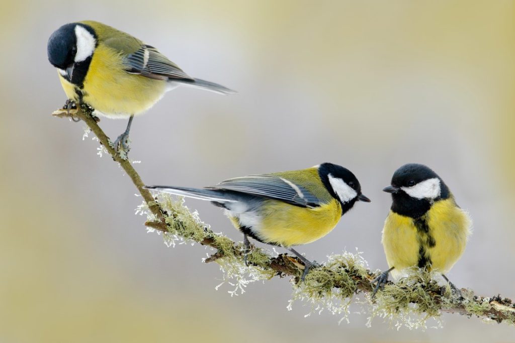 Depositphotos