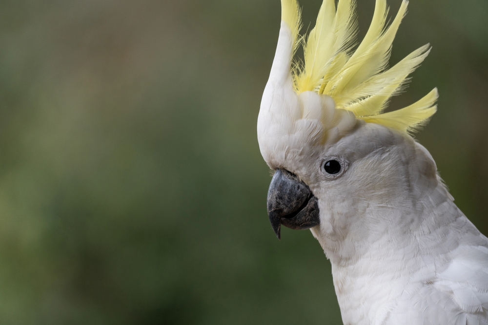 Depositphotos