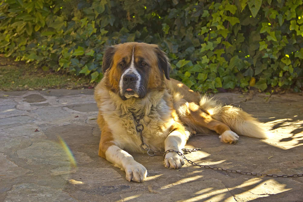 Depositphotos
