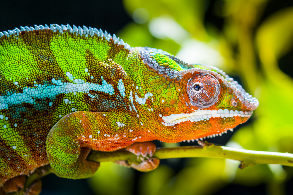 Depositphotos