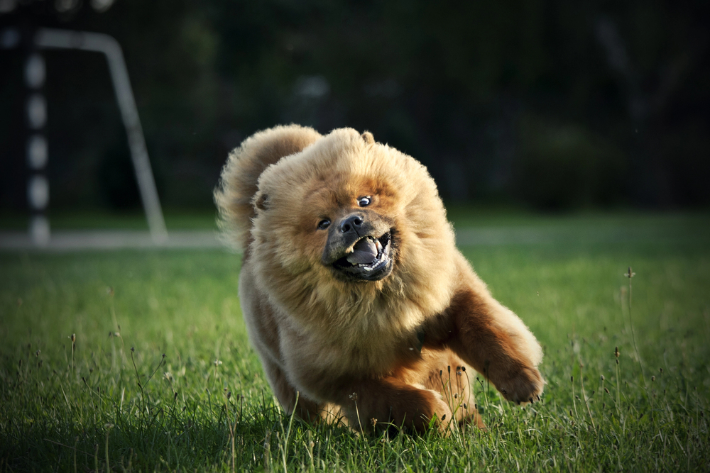 Depositphotos