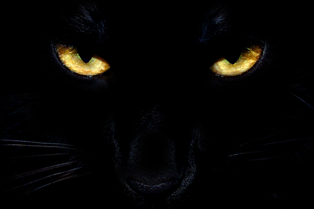 Depositphotos
