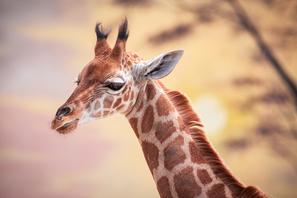 Depositphotos
