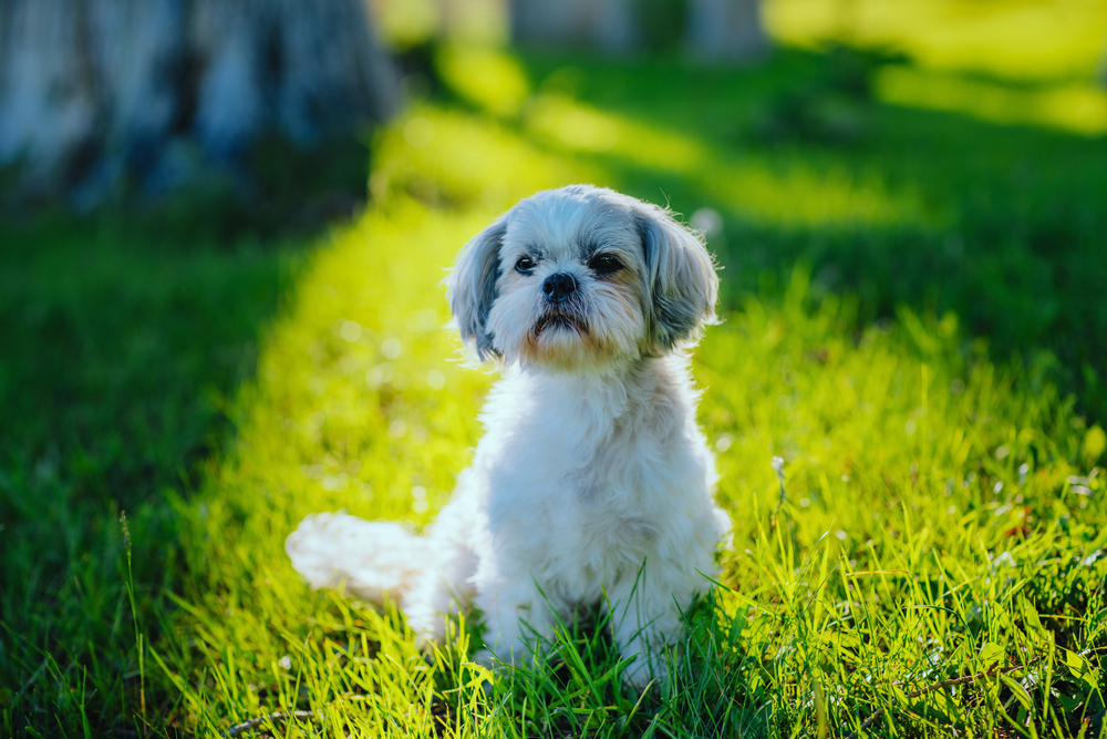 Depositphotos