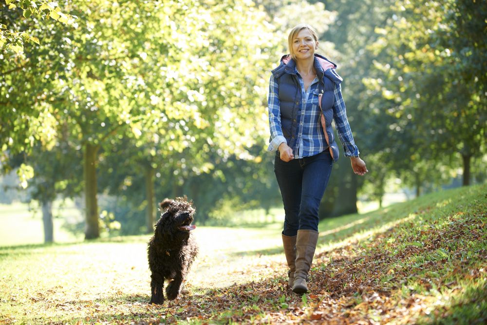 hvor-langt-maa-en-hund-gaa-fit-2000x2000x80.webp