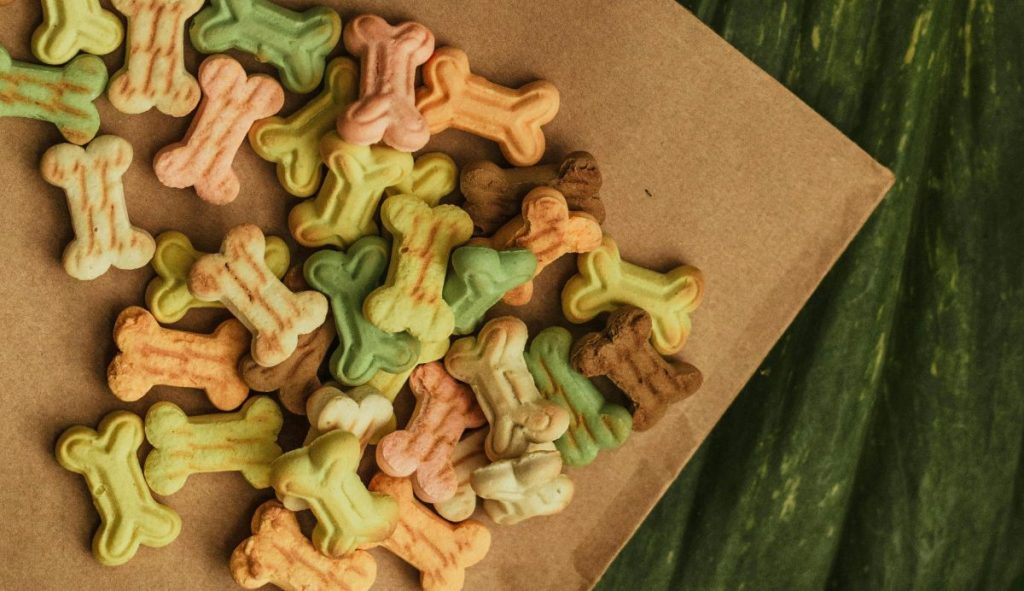 Enkla hembakade hundkex: ett enkelt recept din hund kommer att älska