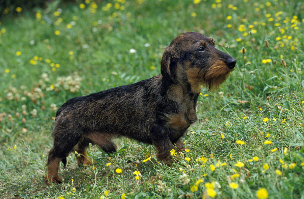 Depositphotos.com
