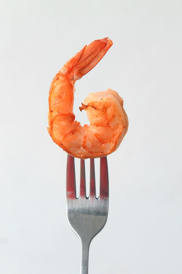 Kan du ge din katt fisk och skaldjur, som till exempel räkor?