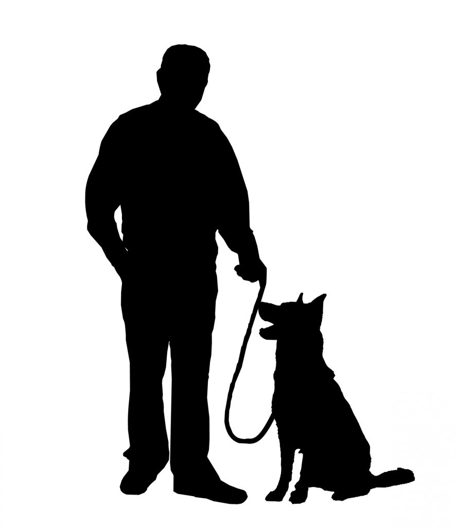 Så här lär du din hund att sluta hoppa upp