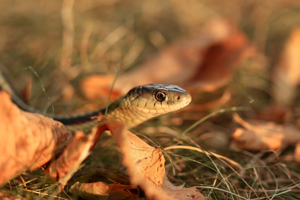 Depositphotos_