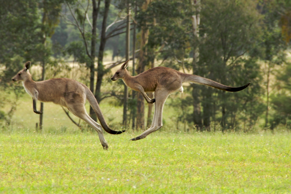 Depositphotos